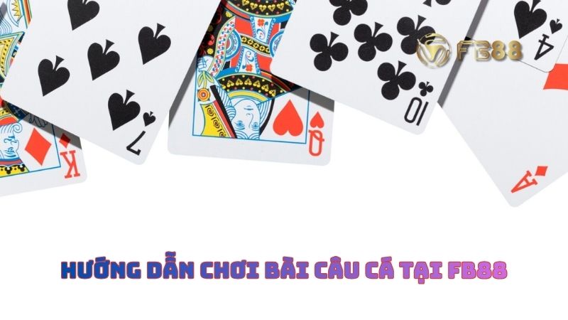 Hướng dẫn anh em cách chơi bài câu cá tại nhà cái FB88