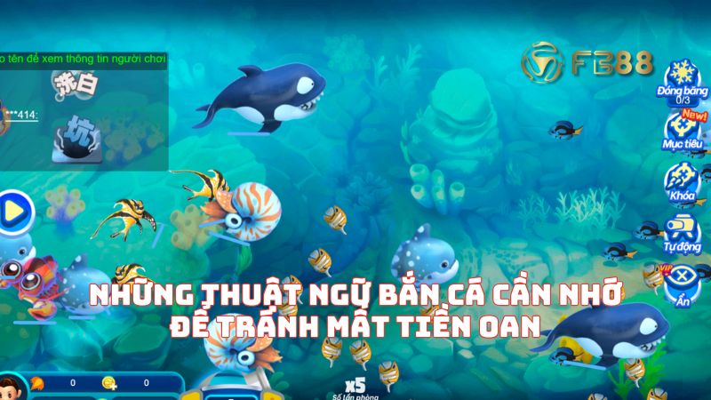 Những thuật ngữ bắn cá cần nhớ để tránh mất tiền oan