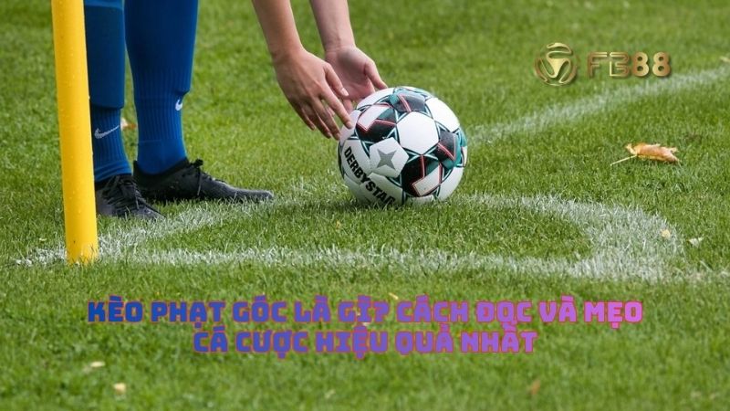 Kèo Phạt Góc Là Gì? Cách Đọc Và Mẹo Cá Cược Hiệu Quả Nhất